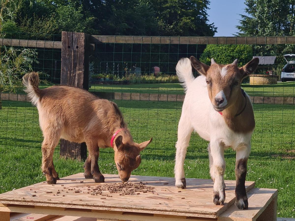 Gite Le Manege Normand Grand-Camp  Bagian luar foto